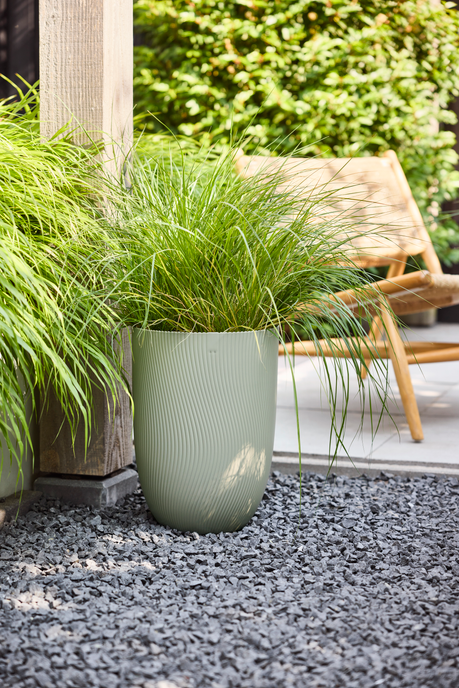 sereh hoog 30cm scandinavisch groen